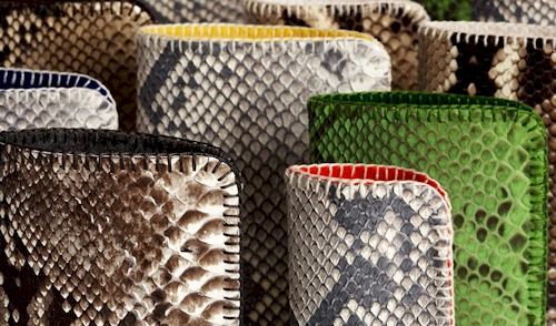 rebecca-omweg-chic-python-cases-for-your-tech-devices.jpg