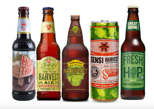 Hop To It! What You Need To Know About Fall Beers - Exotic Excess